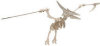 B.C. Bones