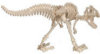 B.C. Bones