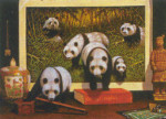 Pandas, Bo Newell - 1000 Pieces