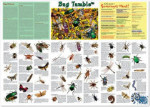 Bug Tumble Poster in a Tube