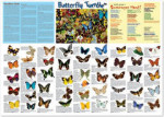 Butterfly Tumble Poster in a Tube