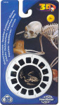 3D Reel Cards - Skeletal Structures - Set of Three