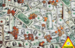 American Money - 1000 Pieces