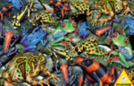 Frogs - 1000 Pieces