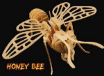 B.C. Bones - Junior Honey Bee Kit
