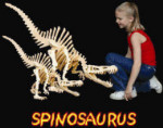 B.C. Bones - Premium Spinosaurus Model Kit - Medium