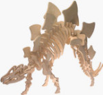 B.C. Bones - Premium Stegosaurus Model Kit - Medium