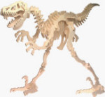 B.C. Bones - Premium Velociraptor Model Kit - Medium
