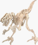 B.C. Bones - Premium Velociraptor Model Kit - Large