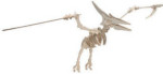 B.C. Bones - Premium Pteranodon Model Kit - Small