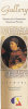 Renaissance Portraits - Mantegna, Portrait of Leo X - 229 Pieces