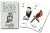 Birds of Prey of the World - Playing Cards