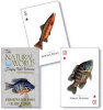 Freshwater Fish of the World - Playing Cards