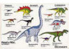- ZooScape - Read a Mat - Dinosaurs
