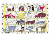- ZooScape - Read a Mat - Wild Animal Families