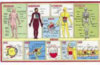 Read a Mat - Human Body