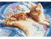 Fluffy - Perfalock - 1000 Pieces