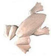 Paint the Wild - One-Piece Kit - Frog