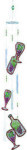 Woodstock Chimes of South Africa - Wine - 43 inches