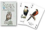 Birds of Prey of the World - Playing Cards