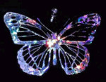 Large Butterfly