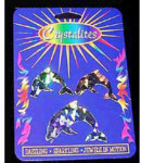 Hologram Magnets - Small Dolphins