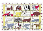 Read a Mat - Wild Animal Families