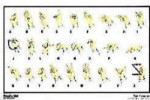 Read a Mat - Sign Language