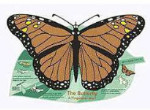 Read a Mat - Butterfly Fingerplay