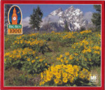 Grand Teton National Park, WY, USA - Big Ben - 1000 Pieces