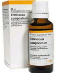 Echinacea Compositum