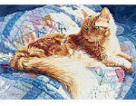 Fluffy - Perfalock - 1000 Pieces