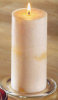 - ZooScape - Pillar Holder - Clear - 3 inches