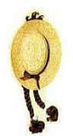 Anne of Green Gables Hat with Braids