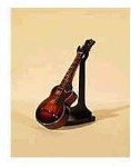 F Hole Electric Guitar