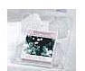 Moments - First Bloom - Package of 4