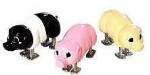 Pig