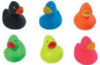 Multi-Colored Rubber Ducky -
