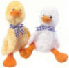Quacking Duck