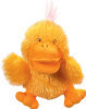 Musical Duck Puppet