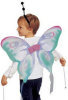 Purple Butterfly Wings