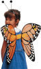 Monarch Butterfly Wings