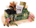 Kama Sutra Love Essentials Kit