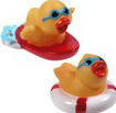 Mini Water Sports Duck