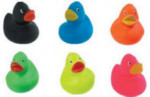 Multi-Colored Rubber Ducky