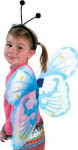 Blue Butterfly Wings