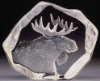 Moose - 3.5" X 4.5" by Mats Jonasson