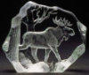 Moose Bull - 5" X 6" by Mats Jonasson