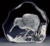 Kiwi - 3" X 3" by Mats Jonasson