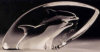 Dolphins - 4" X 8.5" by Mats Jonasson